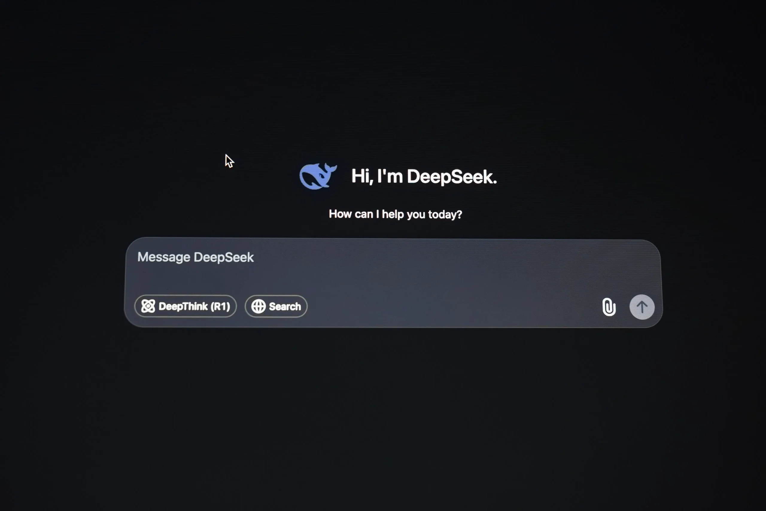 DeepSeek AI interface with a whale logo and a message prompt on a black screen.