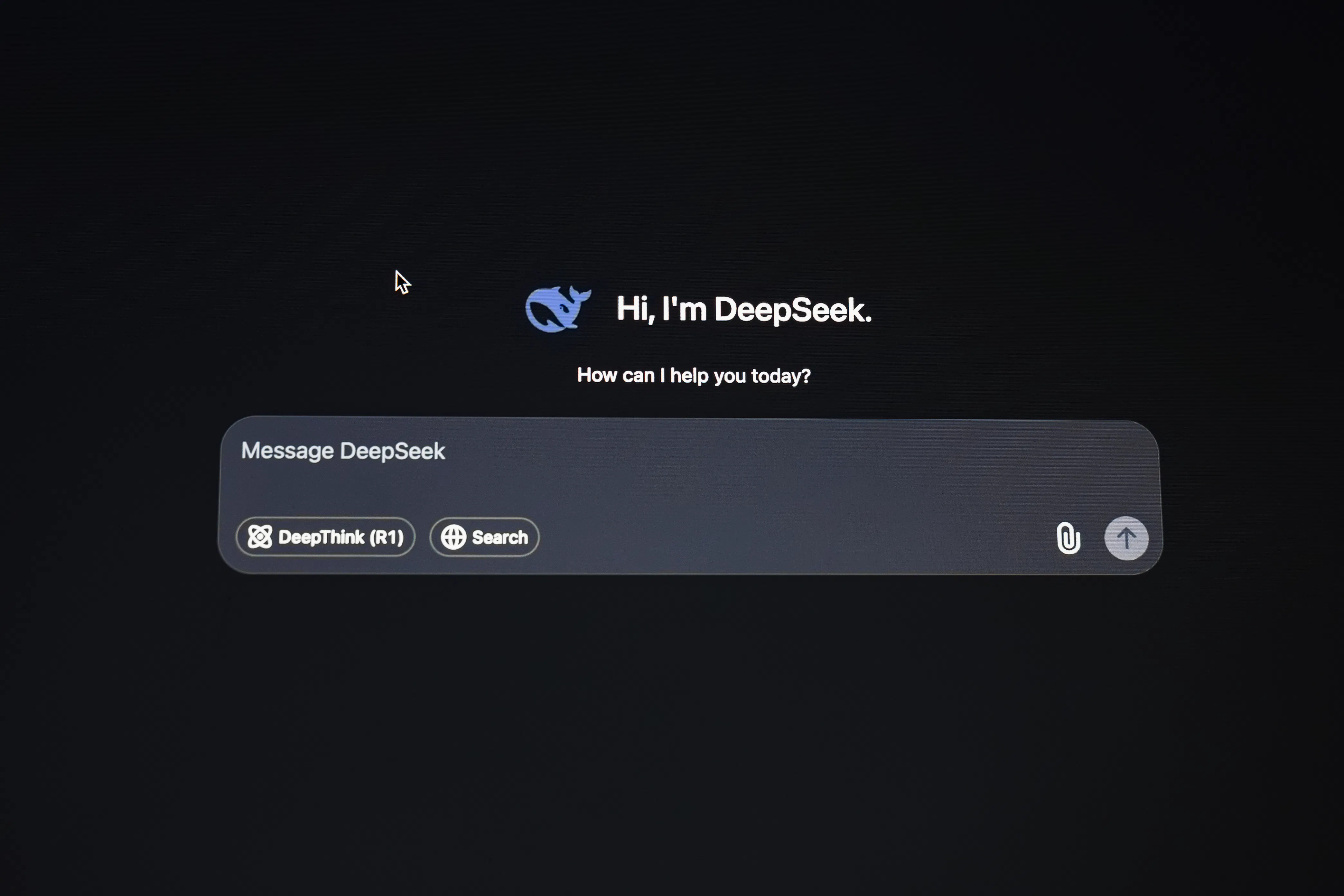 DeepSeek AI interface with a whale logo and a message prompt on a black screen.