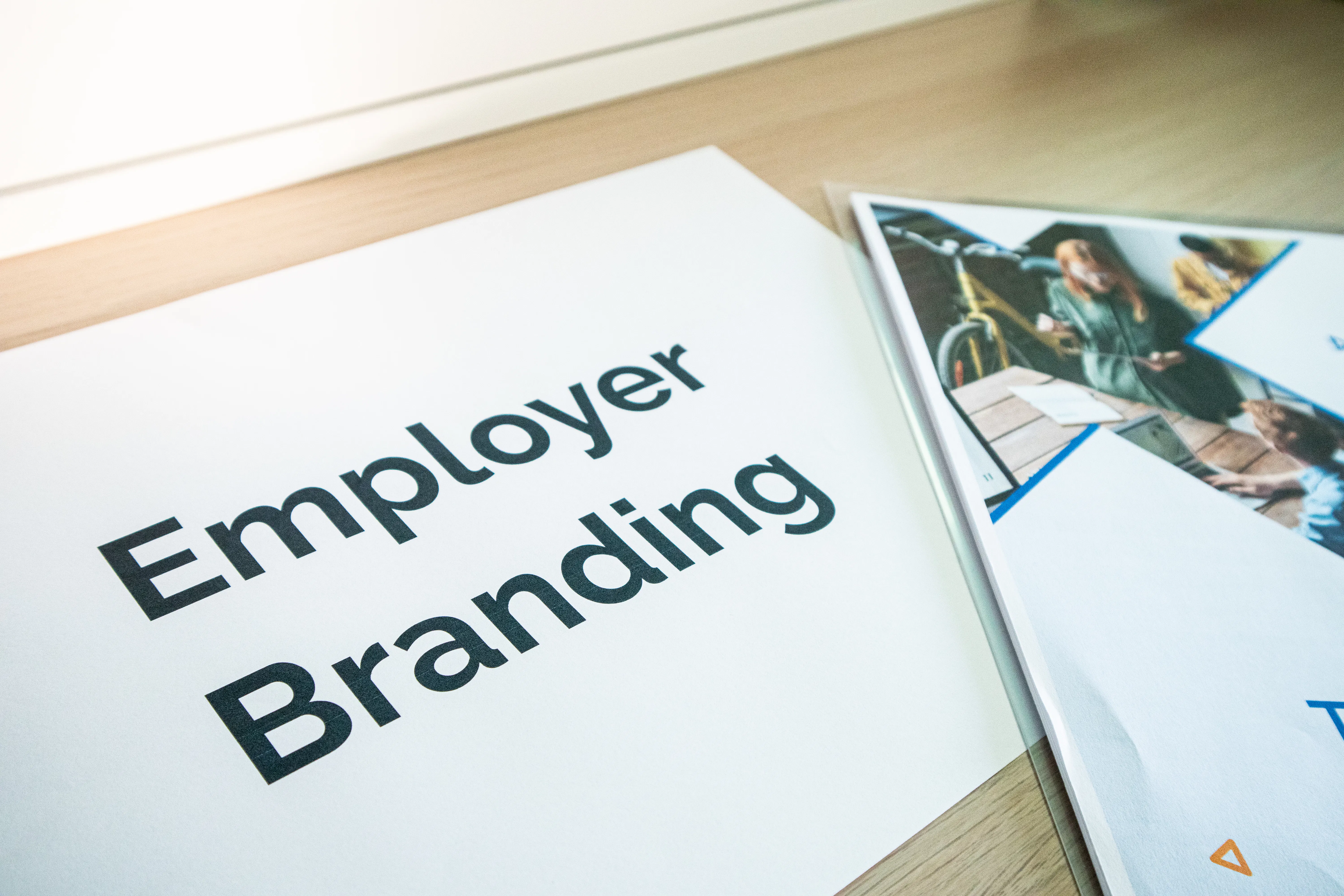 professional brand authority concept