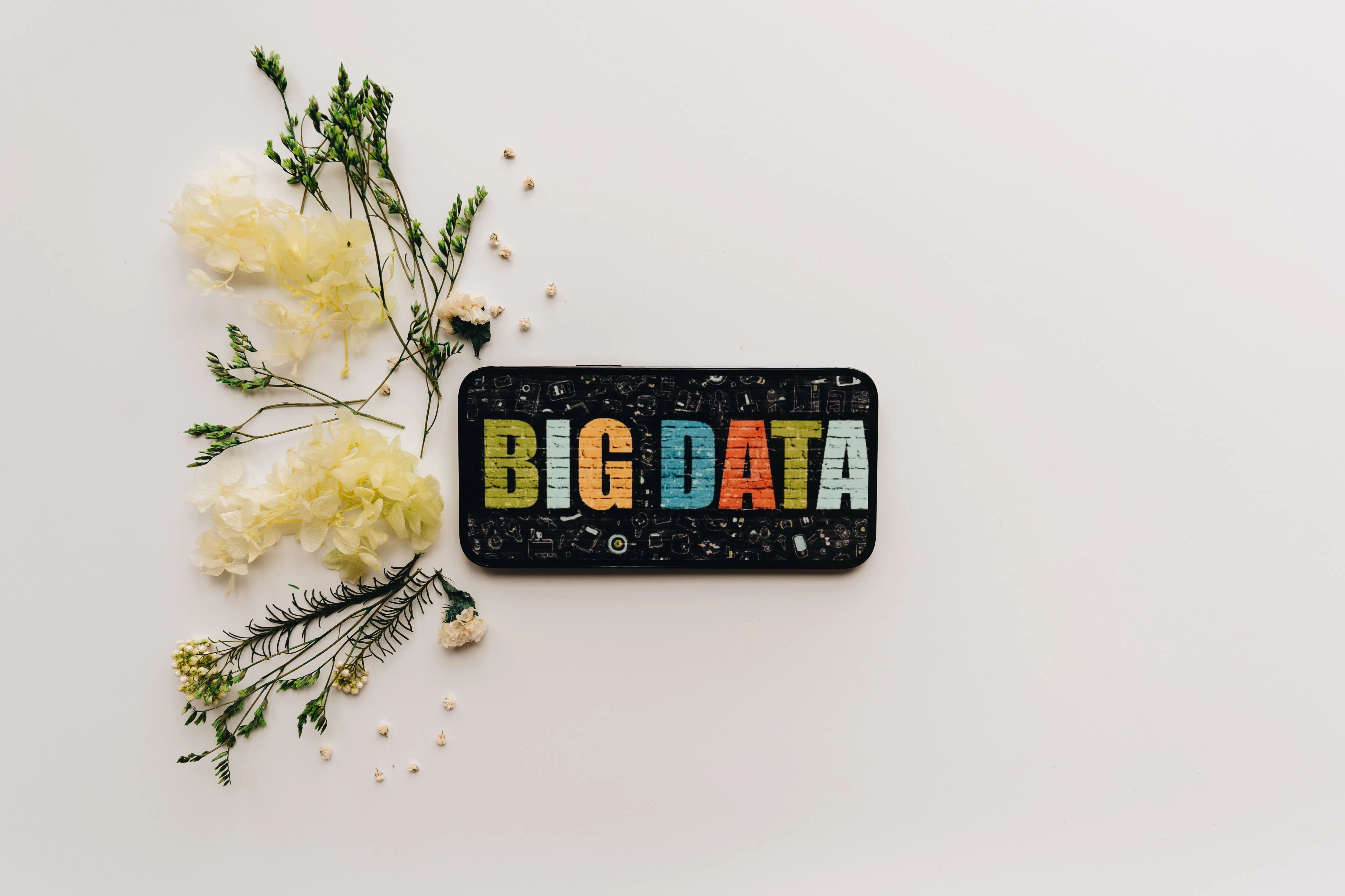 Smartphone showing Big Data text, comparing best AI writing tools and SEO optimization software.